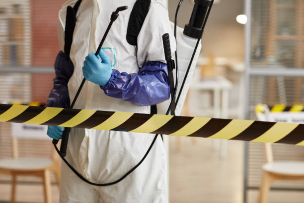 Professional Sewage Cleanup technician working in Havana, AR